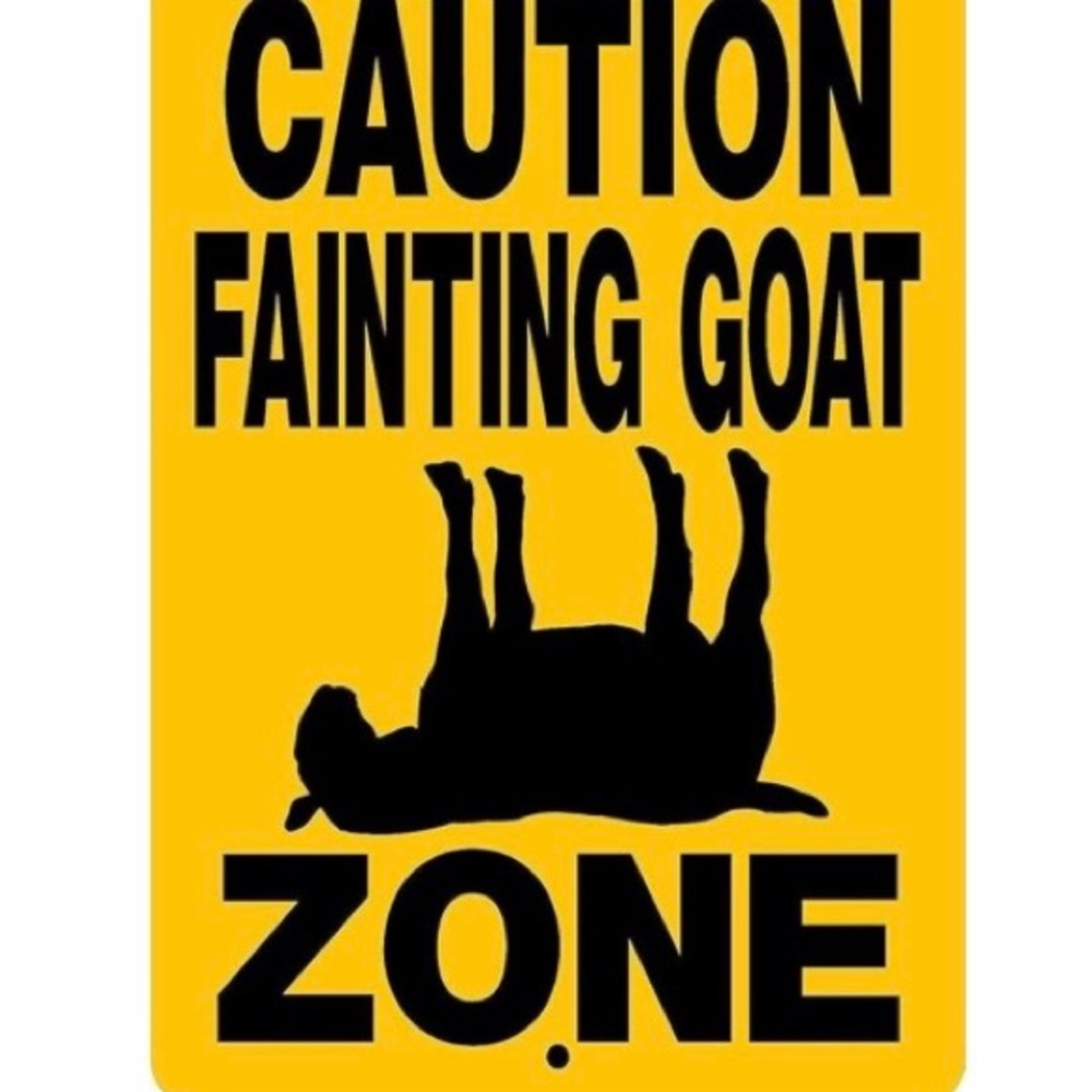 Caution Fainting Goat Zone Sign
